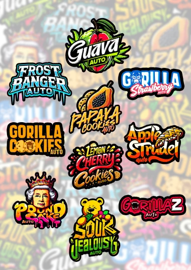 Assorted Mix Pack Collection