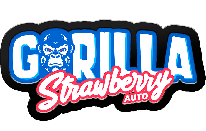 Strawberry Gorilla Auto - Cup Winner Seed